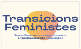 Eines per a la transició feminista a l'abast